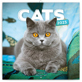 Poznámkový kalendár Mačky 2023, 30 × 30 cm