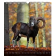 Nástenný kalendár Poľovnícky SK 2018, 30 x 34 cm