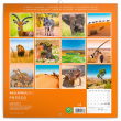Poznámkový kalendár Divoká Afrika 2021, 30 × 30 cm