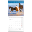 Poznámkový kalendář Koně a moře 2020, 30 × 30 cm