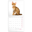 Poznámkový kalendár Mačiatka 2022, 30 × 30 cm