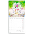 Poznámkový kalendár Plameniaky 2021, 30 × 30 cm