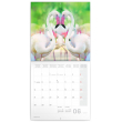 Poznámkový kalendár Plameniaky 2021, 30 × 30 cm