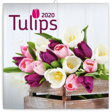 Poznámkový kalendář Tulipány 2020, 30 × 30 cm