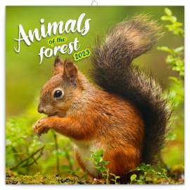 Poznámkový kalendár Zvieratká z lesa 2023, 30 × 30 cm