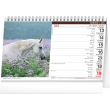 Stolový kalendár Koně – Kone CZ/SK 2022, 23,1 × 14,5 cm