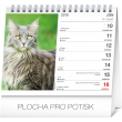 Stolový kalendár Mačky – s menami mačiek SK 2019, 16,5 x 13 cm