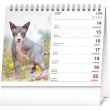 Stolový kalendár Mačky – s menami mačiek SK 2021, 16,5 × 13 cm