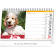 Stolový kalendár Psi – Psy CZ/SK 2019, 23,1 x 14,5 cm
