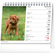 Stolní kalendář Psi – se jmény psů 2023, 16,5 × 13 cm